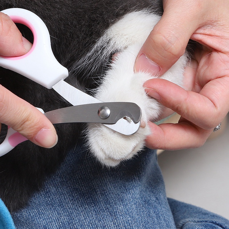 Pet Nail Care Scissors Pet Nai - đánh giá và giá Grooming Scissors